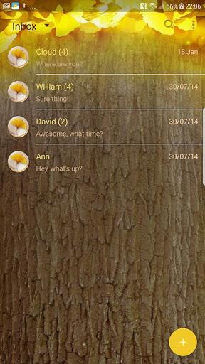 Gingko skin for Handcent Next SMS - Image screenshot of android app