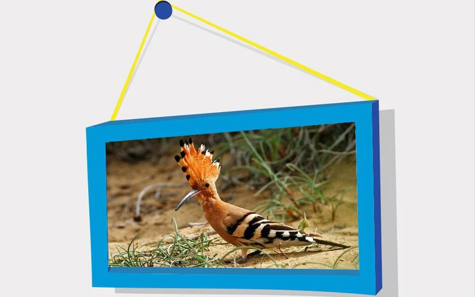 Picture Puzzle: Birds - عکس بازی موبایلی اندروید