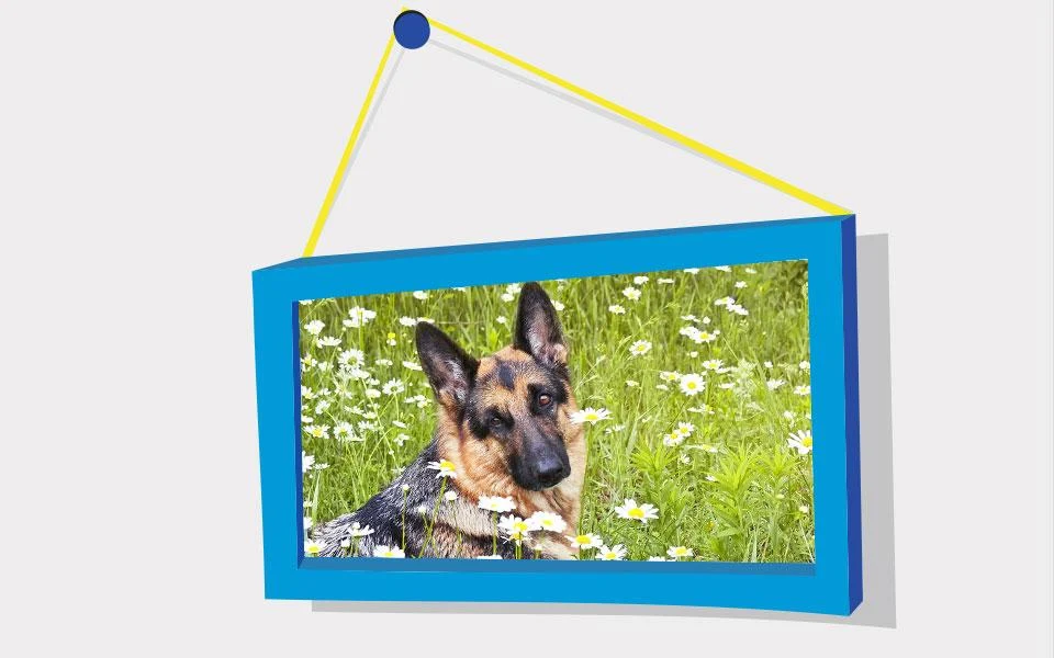 Picture Puzzle: German Shepher - عکس بازی موبایلی اندروید