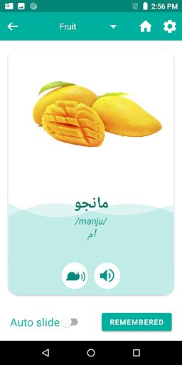 Pashto Arabic Translator - عکس برنامه موبایلی اندروید