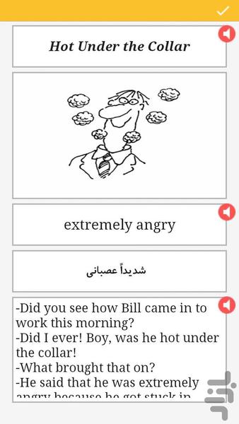 101 American English Idioms - Image screenshot of android app