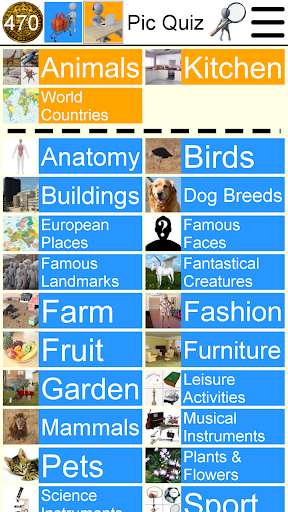 Pic Quiz - Gameplay image of android game
