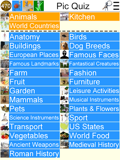 Pic Quiz - Gameplay image of android game