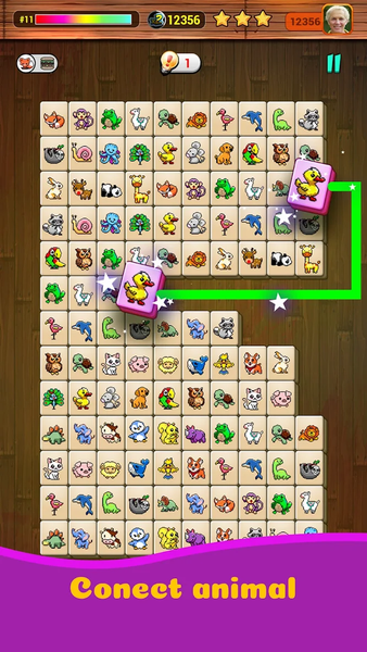 Onet X Connect Matched Animal - Gameplay image of android game