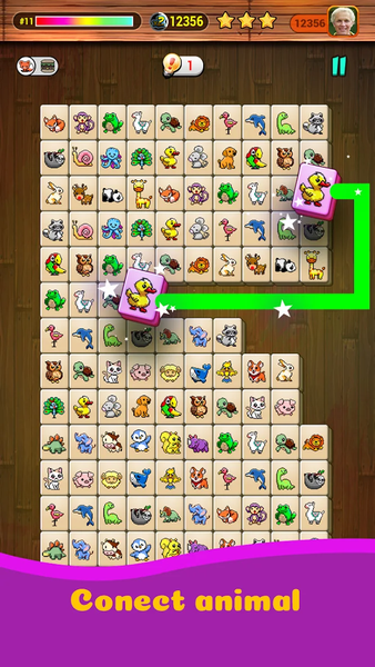 Onet X Connect Matched Animal - عکس بازی موبایلی اندروید