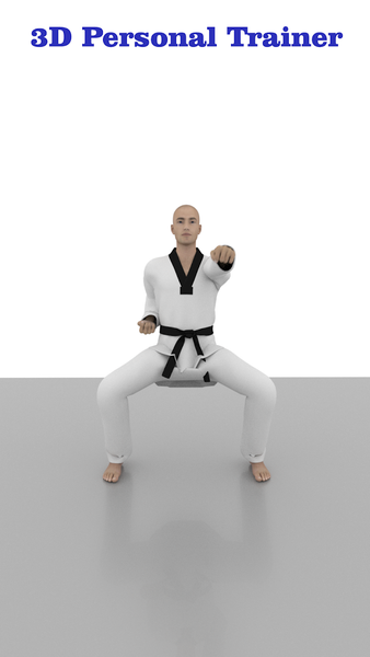 Taekwondo Workout At Home for Android Download Bazaar