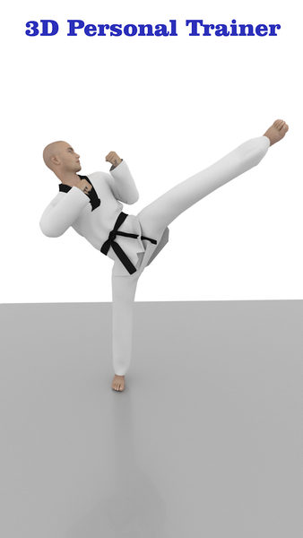 Taekwondo Workout At Home - Image screenshot of android app