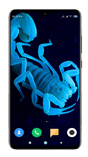 Scorpion Wallpaper - Image screenshot of android app