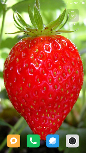 Strawberry Wallpaper - Image screenshot of android app