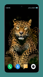Wild Animal Wallpaper 4K for Android - Download | Cafe Bazaar Wild Animal Wallpaper 4K for Android - Download | Cafe Bazaar