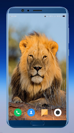 Wild Animal Wallpaper HD - Image screenshot of android app