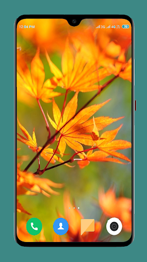 Autumn Wallpaper 4K - Image screenshot of android app