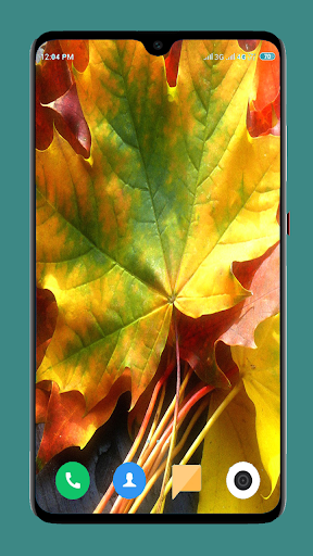 Autumn Wallpaper 4K - Image screenshot of android app