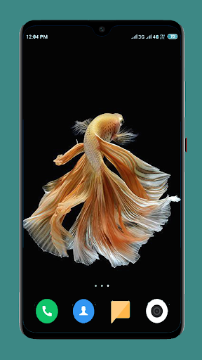 Betta Fish Wallpapers 4K - Image screenshot of android app