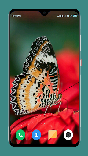 Butterfly Wallpaper 4K - عکس برنامه موبایلی اندروید