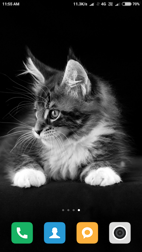 Cute Cat Wallpaper HD - عکس برنامه موبایلی اندروید