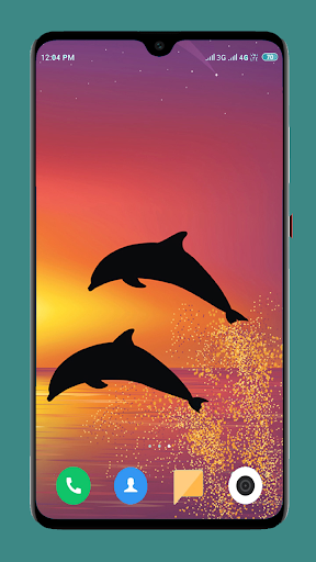 Dolphin Wallpaper HD - عکس برنامه موبایلی اندروید