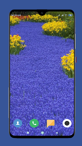 Garden Wallpaper HD - عکس برنامه موبایلی اندروید