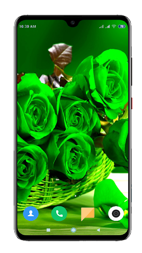 Green Wallpaper HD - Image screenshot of android app