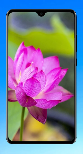 Lotus Wallpaper HD - Image screenshot of android app
