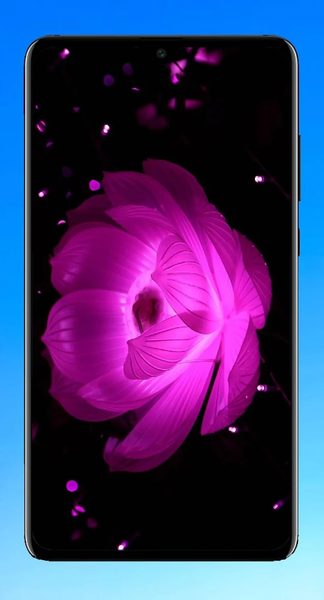 Lotus Wallpaper HD - عکس برنامه موبایلی اندروید