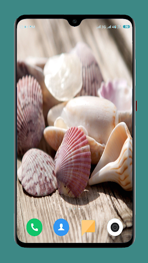 HD Seashell Wallpaper - عکس برنامه موبایلی اندروید