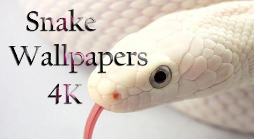 Snake Wallpaper HD - عکس برنامه موبایلی اندروید