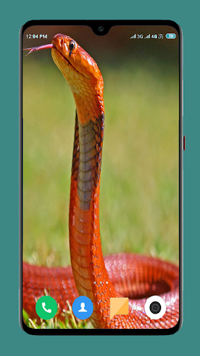 Snake Wallpaper HD - عکس برنامه موبایلی اندروید