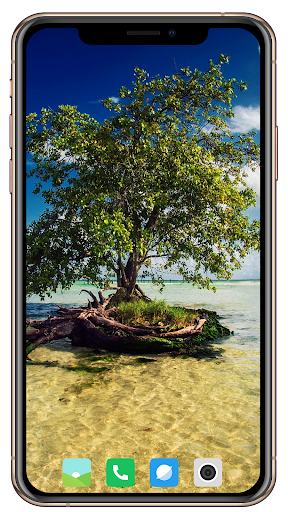 Tree Wallpaper - Image screenshot of android app