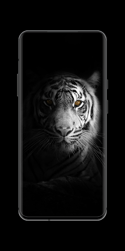 Black Wallpapers in HD, 4K - Image screenshot of android app