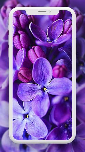 Flower Wallpaper HD – 4k - Image screenshot of android app