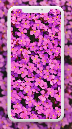 Flower Wallpaper HD – 4k - Image screenshot of android app