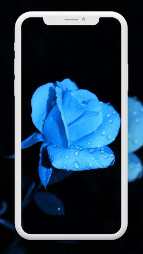 Flower Wallpaper HD – 4k - Image screenshot of android app