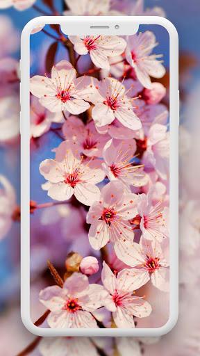 Flower Wallpaper HD – 4k - Image screenshot of android app