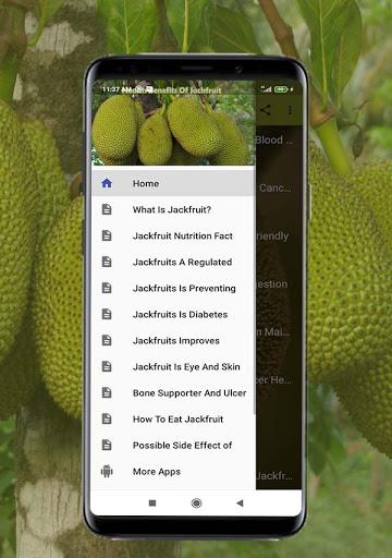 Health Benefits of Jackfruit - Image screenshot of android app