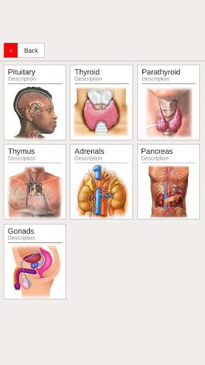 Massage Body Spots - عکس برنامه موبایلی اندروید