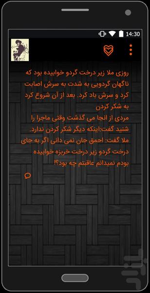 Molla Nasreddin stories - Image screenshot of android app