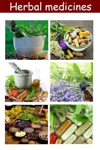 Herbal medicines plant - Image screenshot of android app