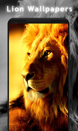 Lion Wallpaper HD - Image screenshot of android app