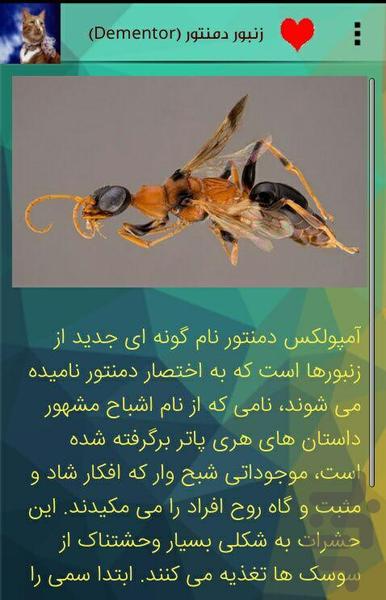 حیوانات عجیب دنیا - عکس برنامه موبایلی اندروید
