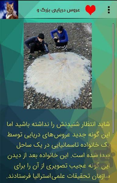 حیوانات عجیب دنیا - عکس برنامه موبایلی اندروید