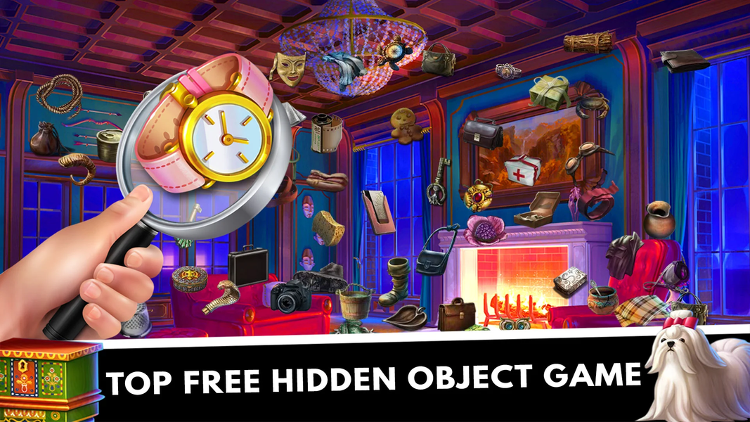 Hidden Object : Mystery Castle - Gameplay image of android game