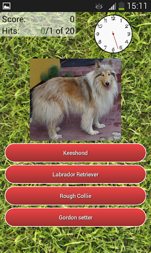 Dog Breeds Quiz - عکس بازی موبایلی اندروید