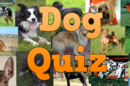 Dog Breeds Quiz - عکس بازی موبایلی اندروید
