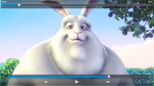 VLC Streamer Lite - Image screenshot of android app