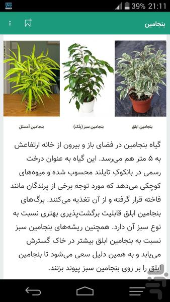 گل و خانه (قسمت اول ) - عکس برنامه موبایلی اندروید