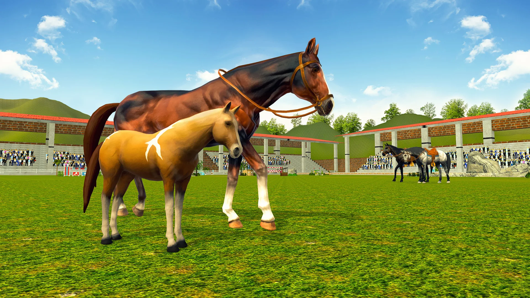 Stars Horse Racing Horse Games - عکس بازی موبایلی اندروید