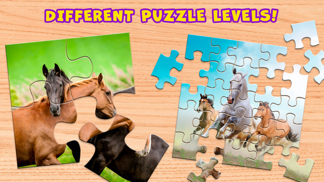 Horse Puzzle Game Offline - Gameplay image of android game