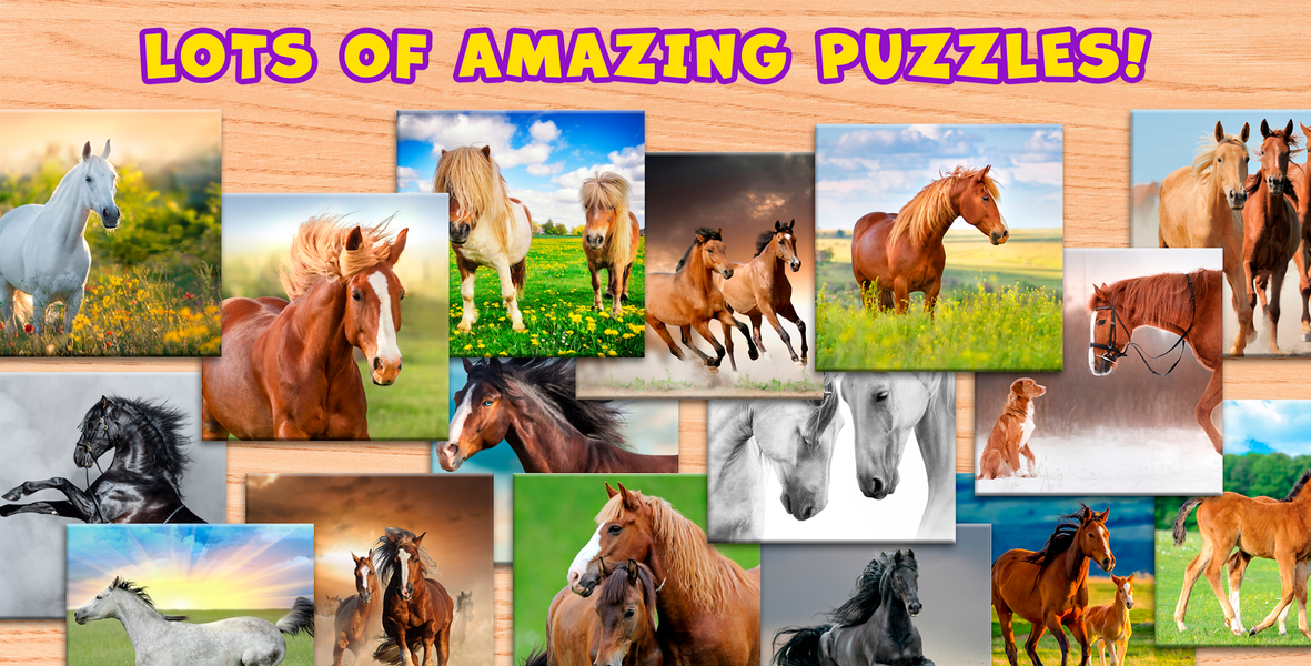 Horse Puzzle Game Offline - Gameplay image of android game