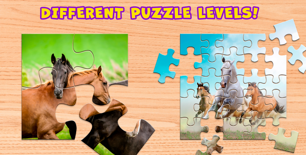 Horse Puzzle Game Offline - Gameplay image of android game